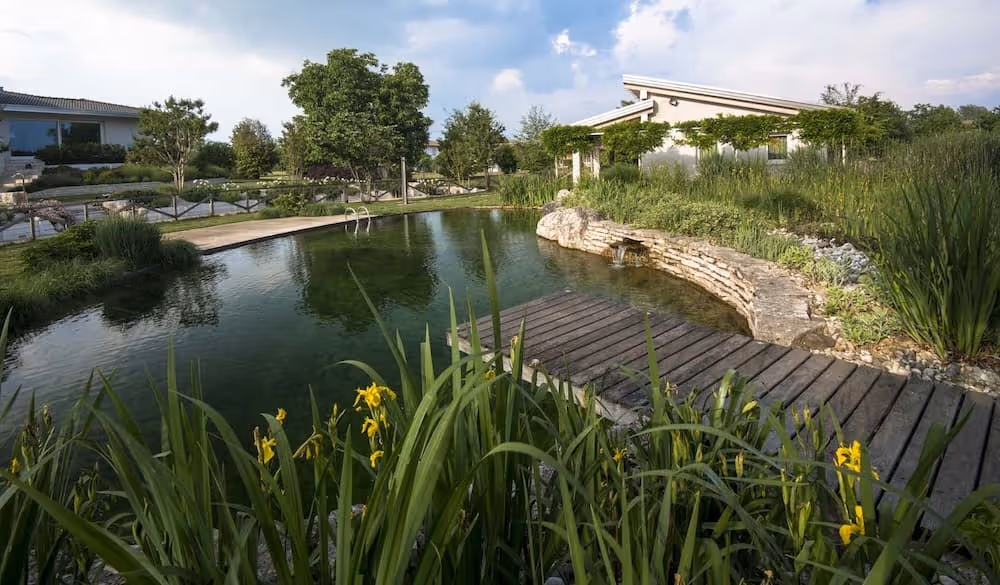 Dettaglio del progetto Realizzazione Biolaghi e Biopiscine realizzato da LS Giardini