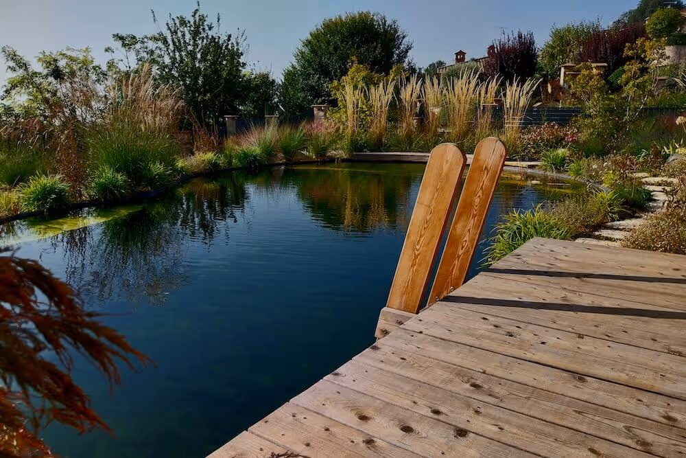 Biolago naturale realizzato da LS Giardini