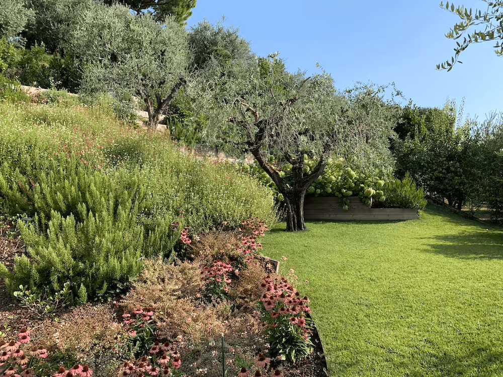 Dettaglio del progetto Progettazione e realizzazione Giardini realizzato da LS Giardini