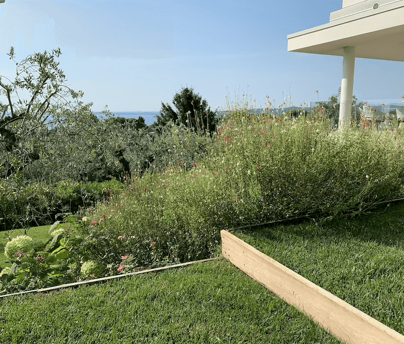 Aiuola curata da LS Giardini